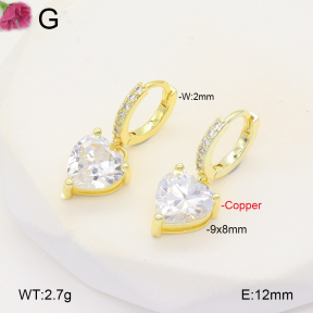 F2E401974vbpb-J147  Fashion Copper Earrings