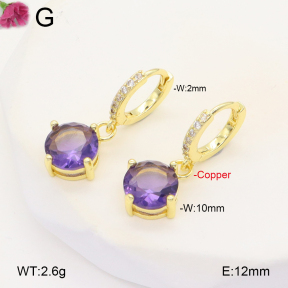 F2E401979vbpb-J147  Fashion Copper Earrings