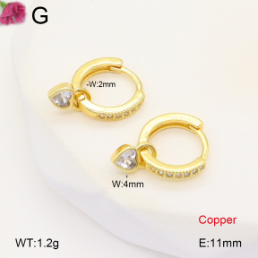 F2E401985vbpb-J147  Fashion Copper Earrings