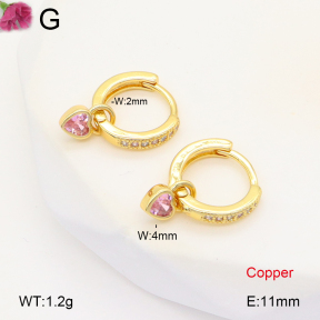 F2E401986vbpb-J147  Fashion Copper Earrings