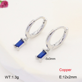 F2E401989bbov-J147  Fashion Copper Earrings