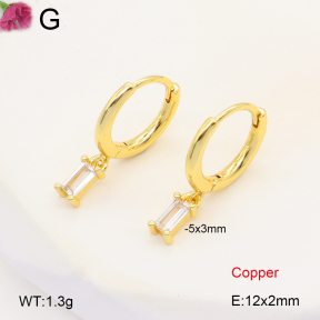 F2E401991bbov-J147  Fashion Copper Earrings