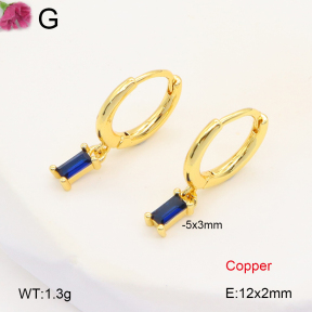 F2E401993bbov-J147  Fashion Copper Earrings