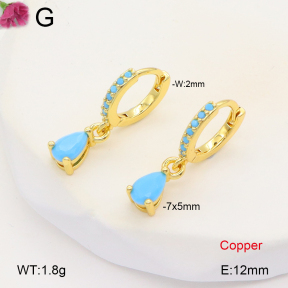 F2E401994vbpb-J147  Fashion Copper Earrings
