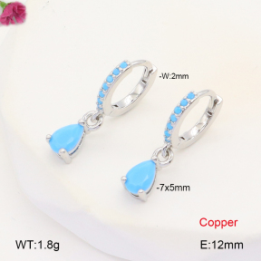 F2E401995vbpb-J147  Fashion Copper Earrings