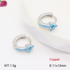 F2E401996vbpb-J147  Fashion Copper Earrings
