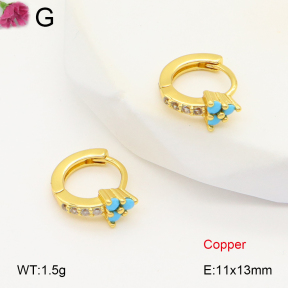 F2E401998vbpb-J147  Fashion Copper Earrings