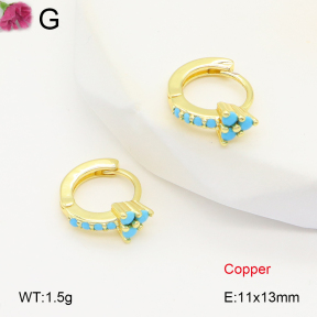 F2E401999vbpb-J147  Fashion Copper Earrings
