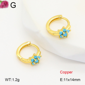 F2E402000vbpb-J147  Fashion Copper Earrings