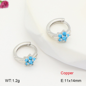 F2E402001vbpb-J147  Fashion Copper Earrings
