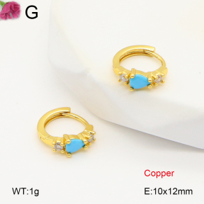 F2E402002vbpb-J147  Fashion Copper Earrings
