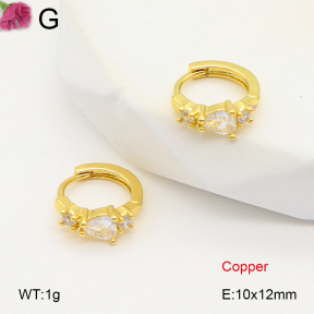 F2E402003vbpb-J147  Fashion Copper Earrings