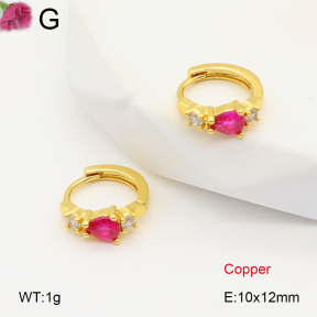 F2E402004vbpb-J147  Fashion Copper Earrings