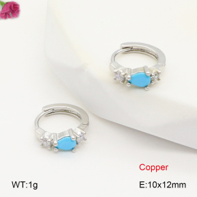 F2E402006vbpb-J147  Fashion Copper Earrings