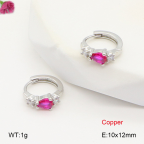 F2E402007vbpb-J147  Fashion Copper Earrings