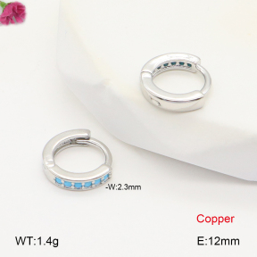 F2E402008bbov-J147  Fashion Copper Earrings
