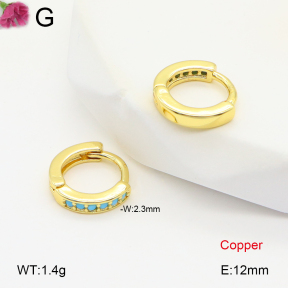 F2E402009bbov-J147  Fashion Copper Earrings