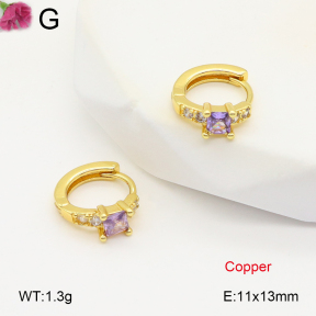 F2E402011vbpb-J147  Fashion Copper Earrings