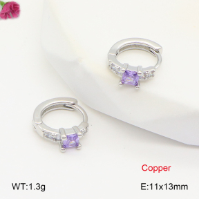 F2E402012vbpb-J147  Fashion Copper Earrings