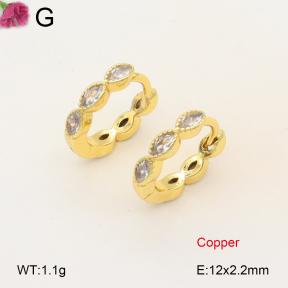 F2E402014vbpb-J147  Fashion Copper Earrings