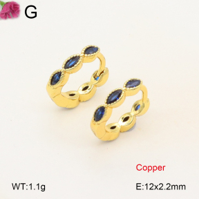 F2E402015vbpb-J147  Fashion Copper Earrings