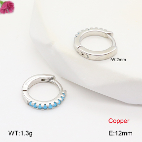 F2E402020bbov-J147  Fashion Copper Earrings