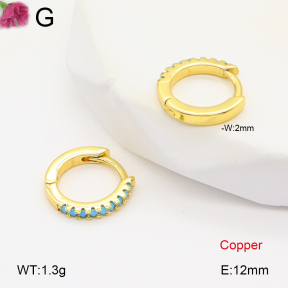F2E402021bbov-J147  Fashion Copper Earrings
