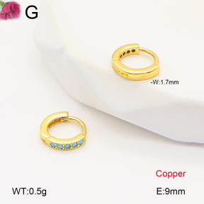 F2E402022bbov-J147  Fashion Copper Earrings