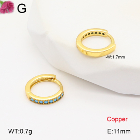 F2E402023bbov-J147  Fashion Copper Earrings