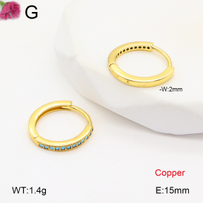 F2E402025bbov-J147  Fashion Copper Earrings