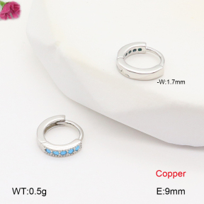 F2E402026bbov-J147  Fashion Copper Earrings