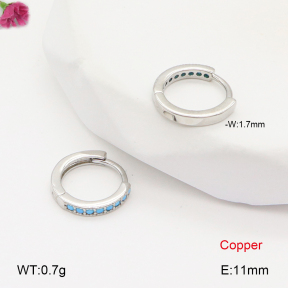 F2E402027bbov-J147  Fashion Copper Earrings