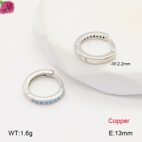 F2E402028bbov-J147  Fashion Copper Earrings