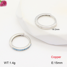 F2E402029bbov-J147  Fashion Copper Earrings