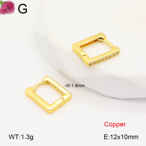 F2E402030vbpb-J147  Fashion Copper Earrings