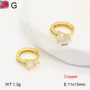 F2E402034vbpb-J147  Fashion Copper Earrings