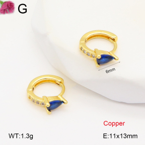 F2E402036vbpb-J147  Fashion Copper Earrings