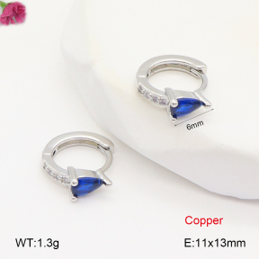 F2E402037vbpb-J147  Fashion Copper Earrings