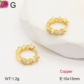 F2E402040vbpb-J147  Fashion Copper Earrings