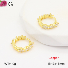 F2E402041vbpb-J147  Fashion Copper Earrings