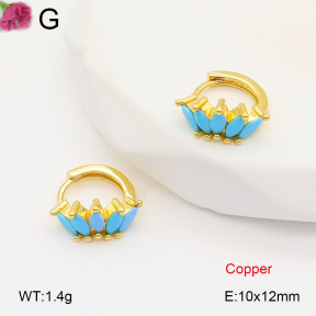 F2E402044vbpb-J147  Fashion Copper Earrings