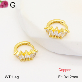 F2E402045vbpb-J147  Fashion Copper Earrings