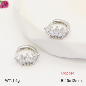 F2E402046vbpb-J147  Fashion Copper Earrings