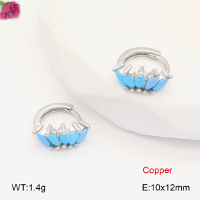 F2E402047vbpb-J147  Fashion Copper Earrings