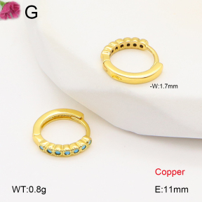F2E402048bbov-J147  Fashion Copper Earrings