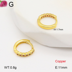 F2E402049bbov-J147  Fashion Copper Earrings
