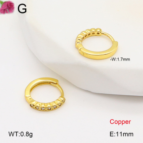 F2E402050bbov-J147  Fashion Copper Earrings