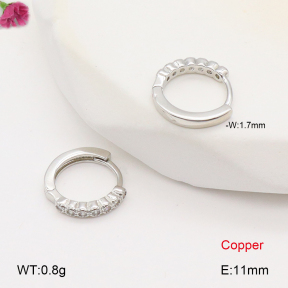 F2E402053bbov-J147  Fashion Copper Earrings