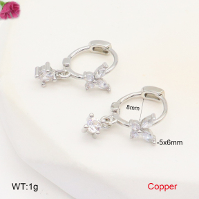 F2E402054vbpb-J147  Fashion Copper Earrings