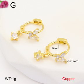 F2E402055vbpb-J147  Fashion Copper Earrings